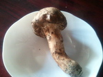 2011-10-18 15.47.06.jpg