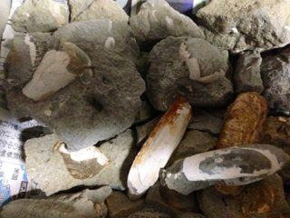 image-20130520203711.png