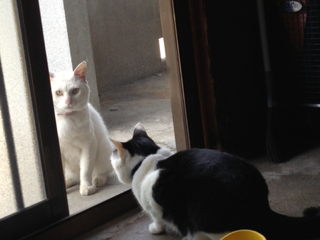 image-20130605135348.png