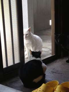 image-20130605140405.png